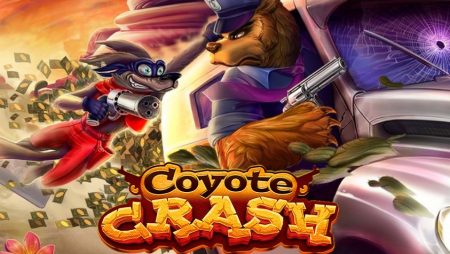 Coyote Crash