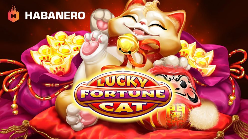 Lucky Fortune Cat