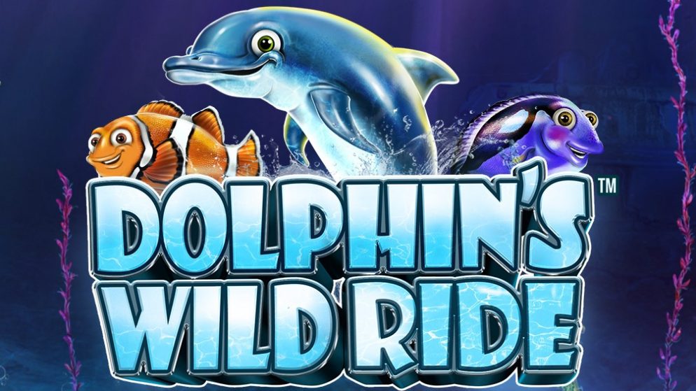 Dolphin’s Wild Ride
