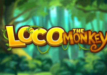 Loco the Monkey